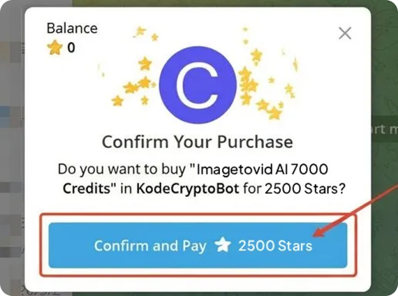 3. Complete Payment